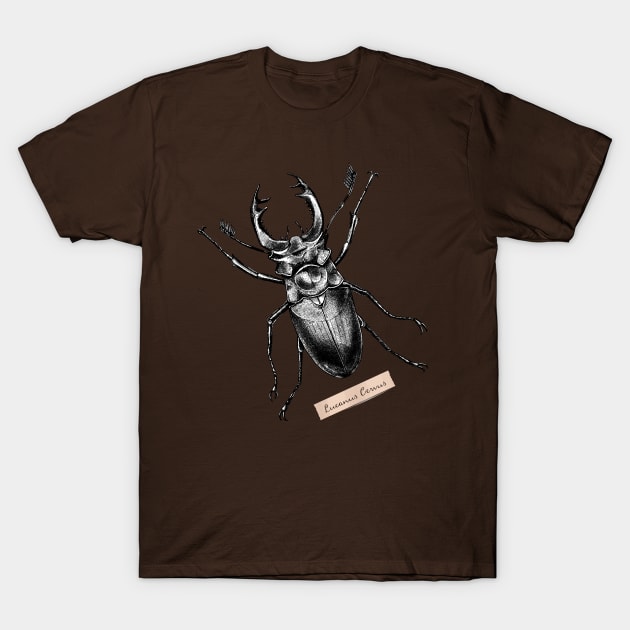 Stag Beetle - Lucanus Cervus T-Shirt by pakowacz